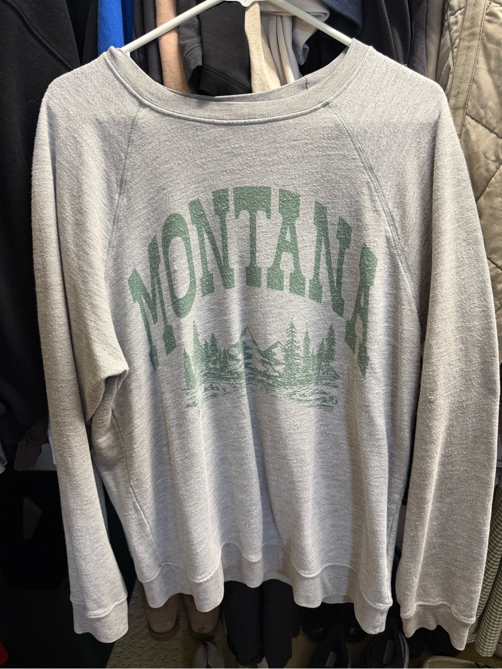 Free People Montana Sweatshirt in Light Gray with Green Graphic